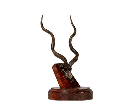 Bronze Skullies - Replica Miniature Southern Greater Bronze Kudu Skull - Skullies