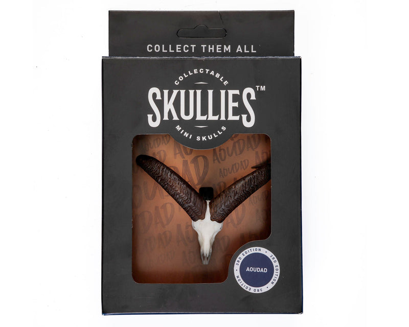 Load image into Gallery viewer, Resin Skullies - Miniature Replica Aoudad Skull - Skullies
