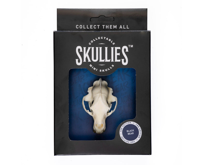 Load image into Gallery viewer, Resin Skullies - Miniature Replica Black Bear Skull - Skullies