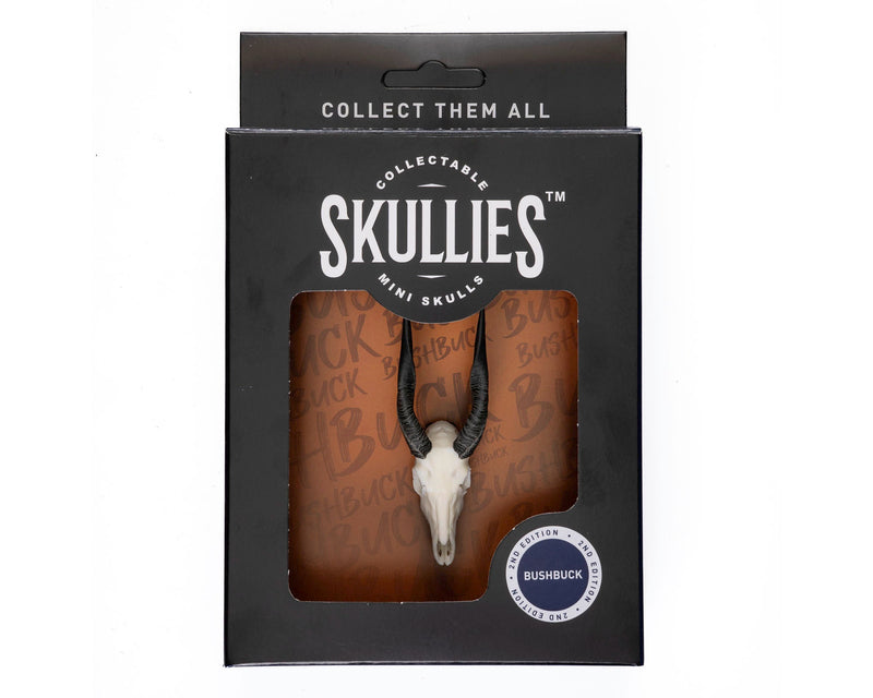 Load image into Gallery viewer, Resin Skullies - Miniature Replica Bushbuck Skull - Skullies