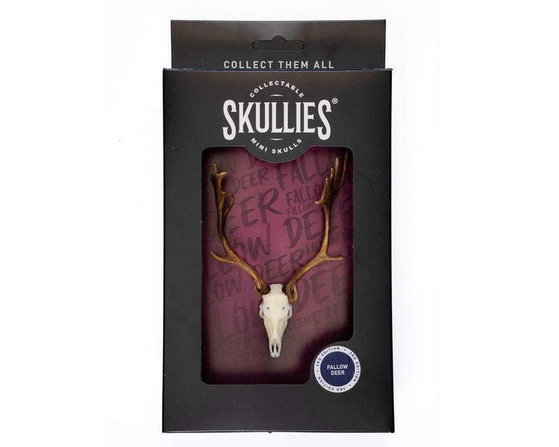 Load image into Gallery viewer, Resin Skullies - Miniature Replica Fallow Deer Skull - Skullies
