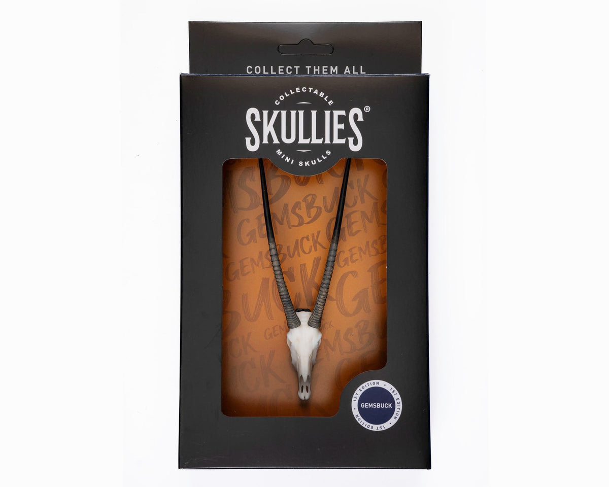 Resin Skullies - Miniature Replica Gemsbuck Skull - Skullies