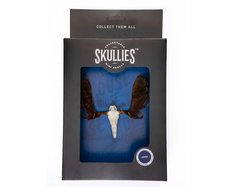 Load image into Gallery viewer, Resin Skullies - Miniature Replica Moose Skull - Skullies