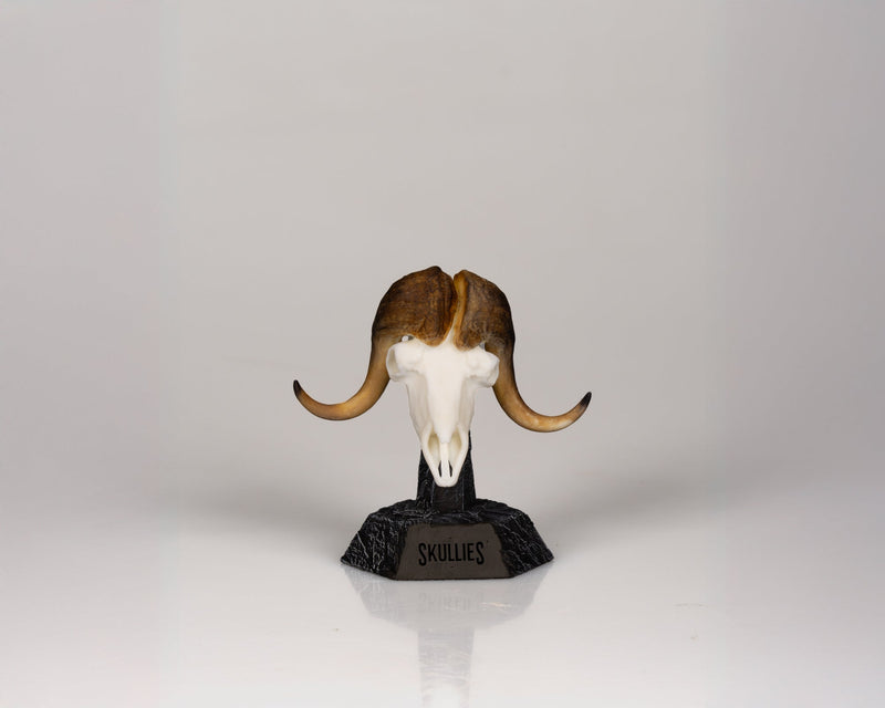 Load image into Gallery viewer, Resin Skullies - Miniature Replica Musk Ox Skull - Skullies