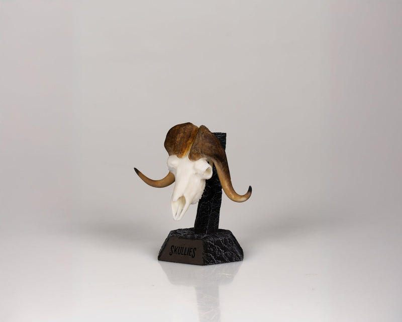 Load image into Gallery viewer, Resin Skullies - Miniature Replica Musk Ox Skull - Skullies