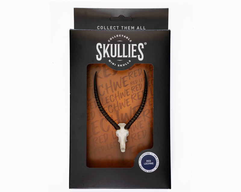 Load image into Gallery viewer, Resin Skullies - Miniature Replica Red Lechwe Skull - Skullies