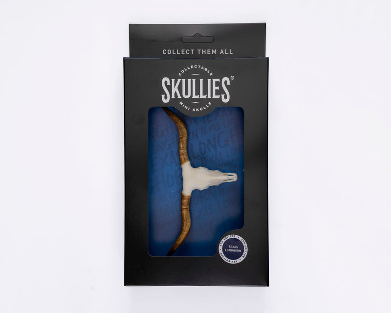 Load image into Gallery viewer, Resin Skullies - Miniature Replica Texas Longhorn Skull - Skullies
