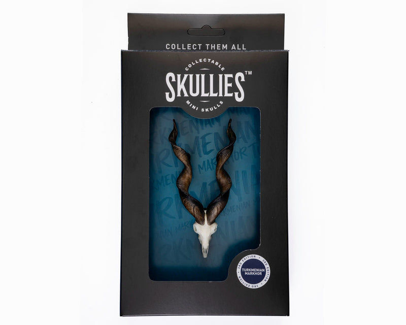 Load image into Gallery viewer, Resin Skullies - Miniature Replica Turkmenian Markhor Skull - Skullies