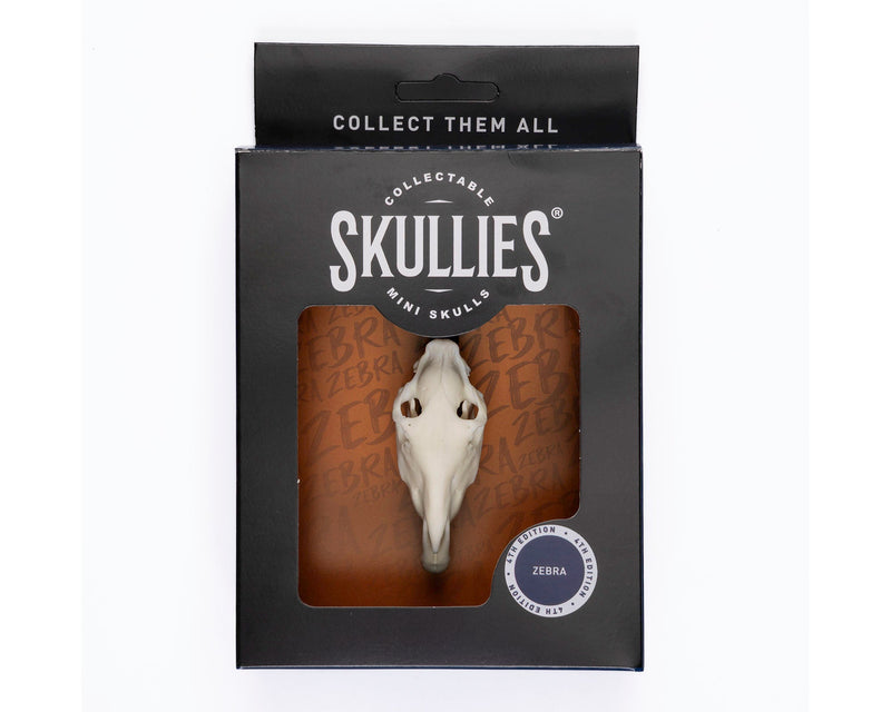 Load image into Gallery viewer, Resin Skullies - Miniature Replica Zebra Skull - Skullies