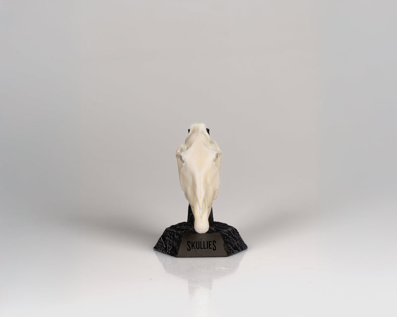 Load image into Gallery viewer, Resin Skullies - Miniature Replica Zebra Skull - Skullies