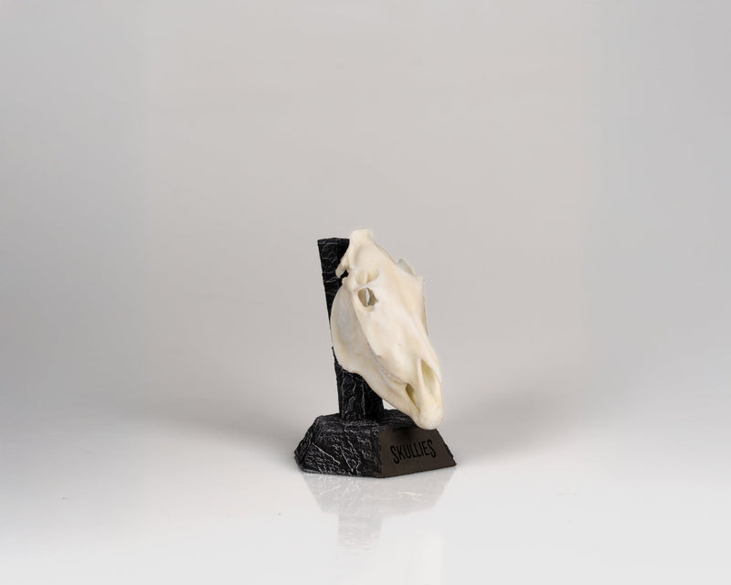 Load image into Gallery viewer, Resin Skullies - Miniature Replica Zebra Skull - Skullies