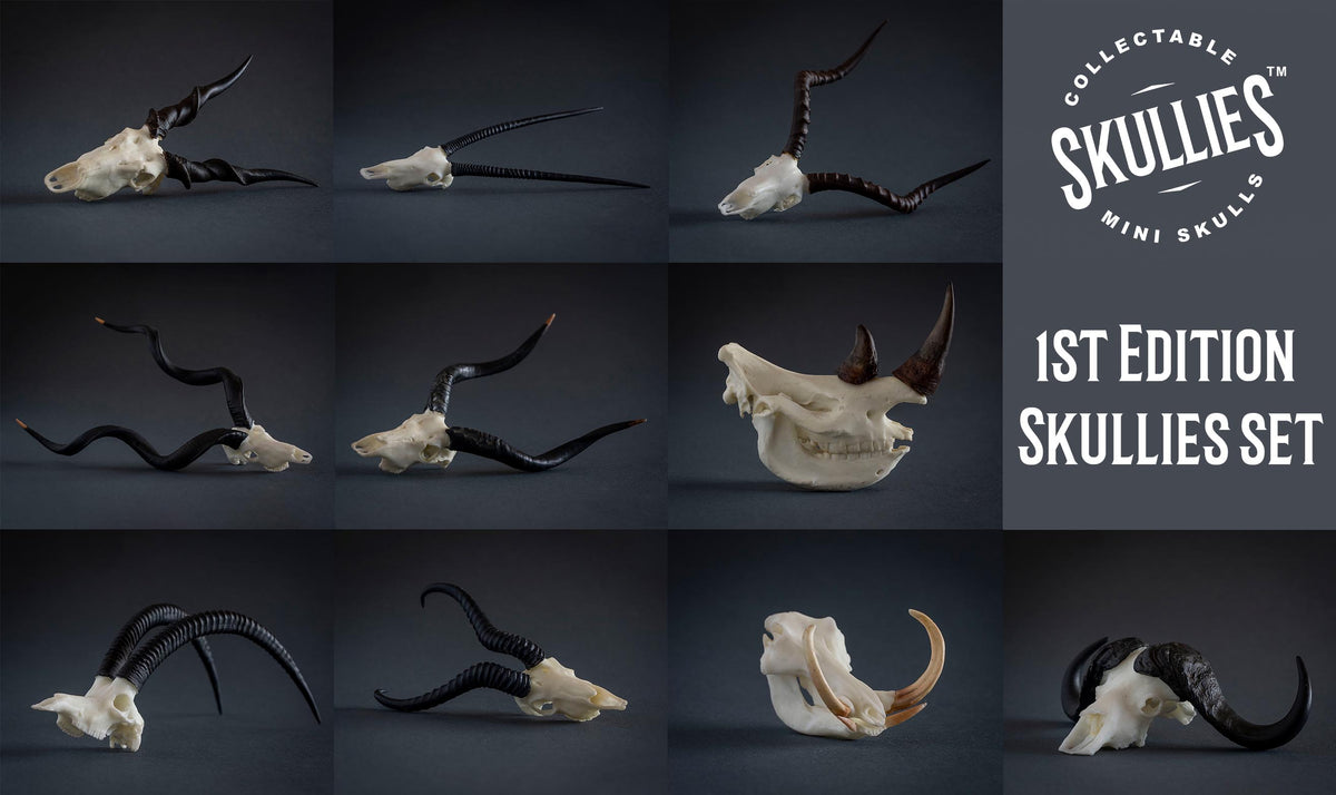 Resin Skullies - Skullies