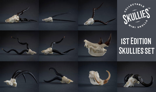 Resin Skullies - Skullies