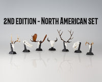 Resin Skullies - 2nd Edition North American Species Set