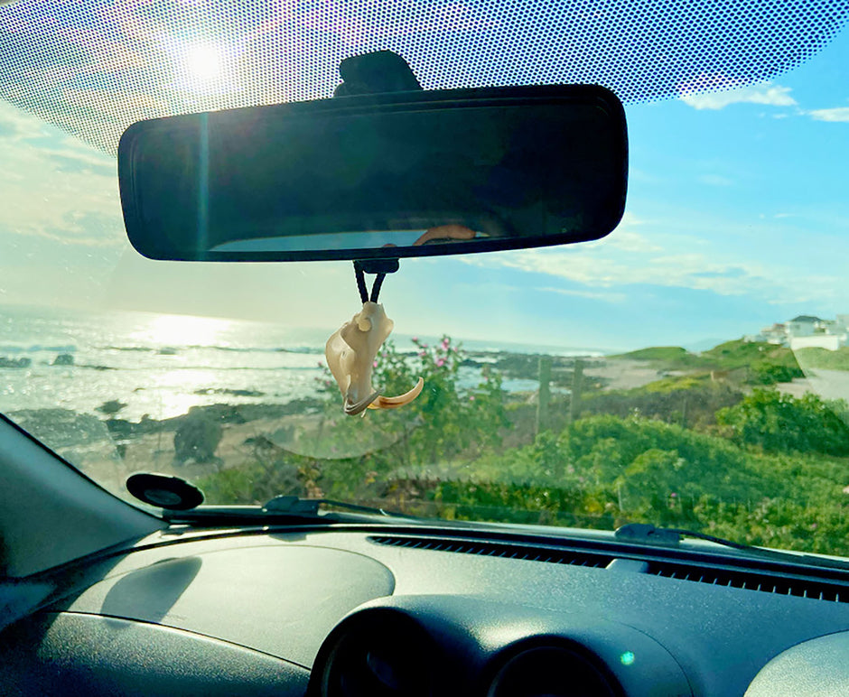 Skullies Africa’s Original Collectable Mini Skulls