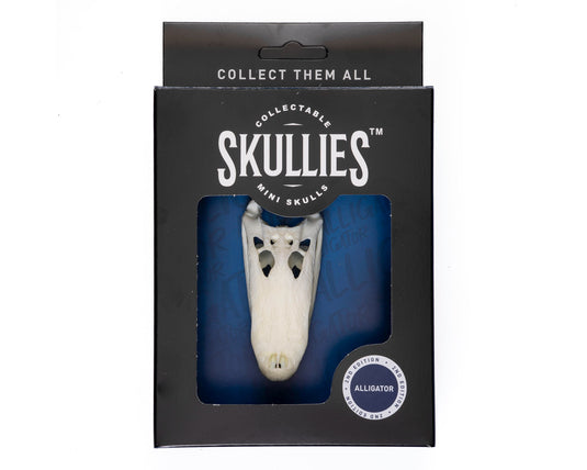 Resin Skullies - Miniature Replica Alligator Skull