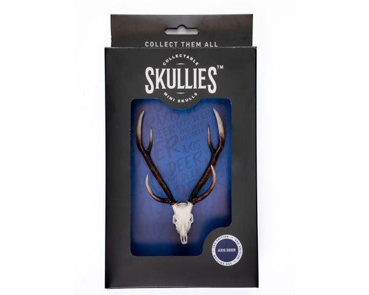 Resin Skullies - Miniature Replica Axis Deer Skull