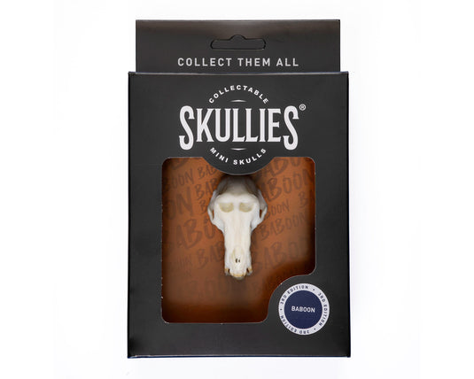Resin Skullies - Miniature Replica Baboon Skull