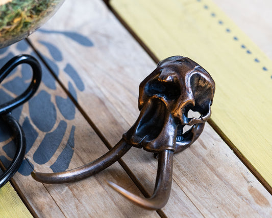 Bronze Skullies - Miniature Replica Elephant Skull