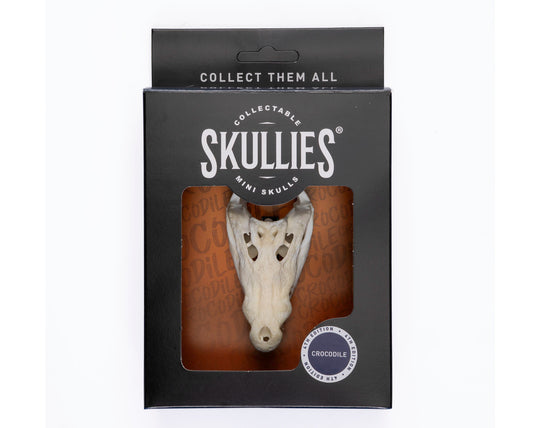 Resin Skullies - Miniature Replica Crocodile Skull