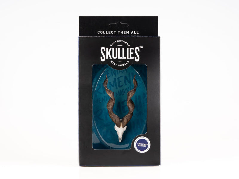 Load image into Gallery viewer, Resin Skullies - Miniature Replica Turkmenistan Markhor Skull
