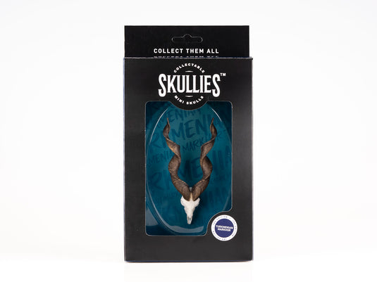 Resin Skullies - Miniature Replica Turkmenistan Markhor Skull