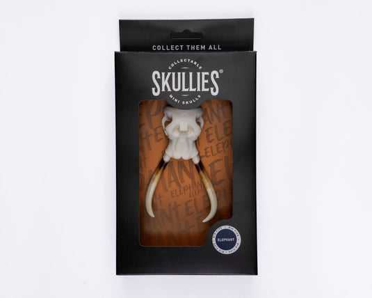 Resin Skullies - Miniature Replica Elephant Skull