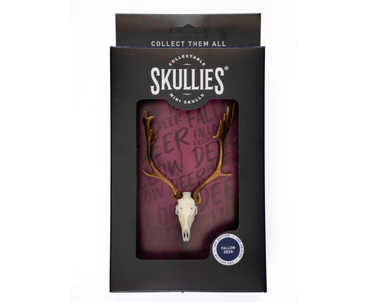Resin Skullies - Miniature Replica Fallow Deer Skull