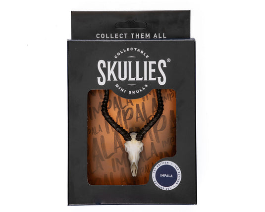 Resin Skullies - Miniature Replica Impala Skull