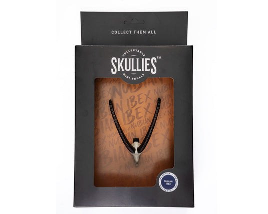 Resin Skullies - Miniature Replica Nubian Ibex Skull