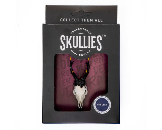 Resin Skullies - Miniature Replica Roe Deer Skull