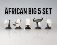 Resin Skullies - Collectable Miniature Skulls - African Big 5 Set