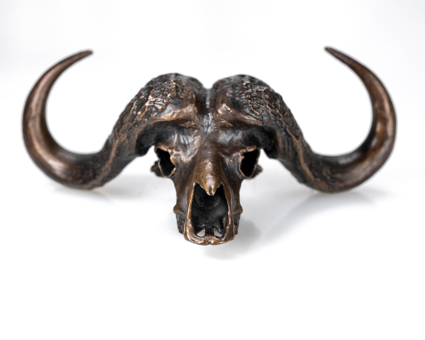 Bronze Skullies - Miniature Replica Cape Buffalo Skull