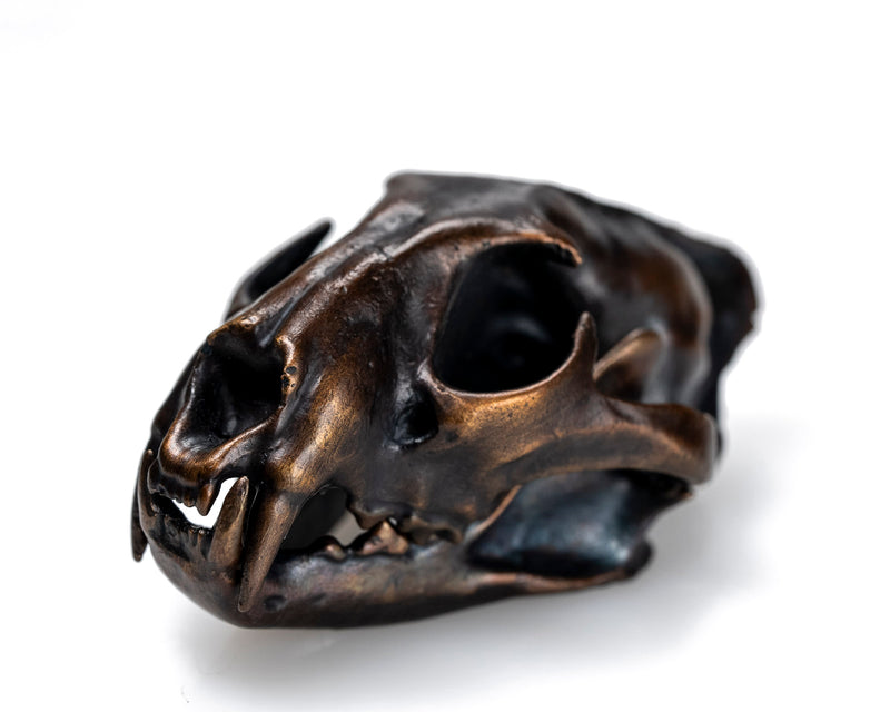 Load image into Gallery viewer, Bronze Skullies - Miniature Replica Leopard Skull
