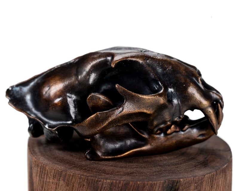 Load image into Gallery viewer, Bronze Skullies - Miniature Replica Leopard Skull
