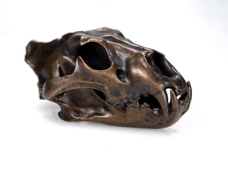 Load image into Gallery viewer, Bronze Skullies - Miniature Replica Lion Skull
