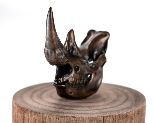 Bronze Skullies - Miniature Replica Rhino Skull