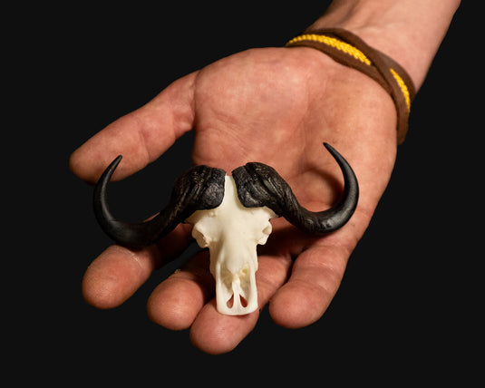 Skullies Collab | Appel Buffalo Skullie | Limited Edition