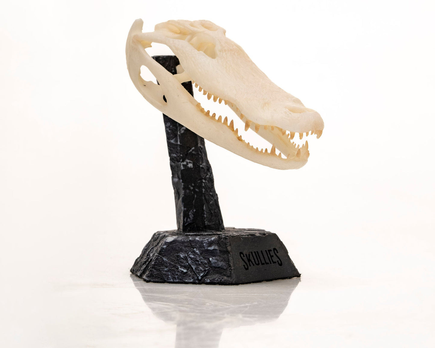 Resin Skullies - Miniature Replica Alligator Skull
