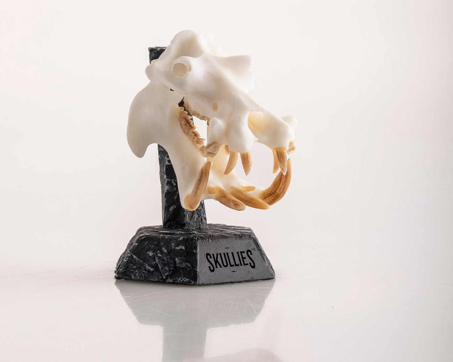 Resin Skullies - Miniature Replica Hippo Skull