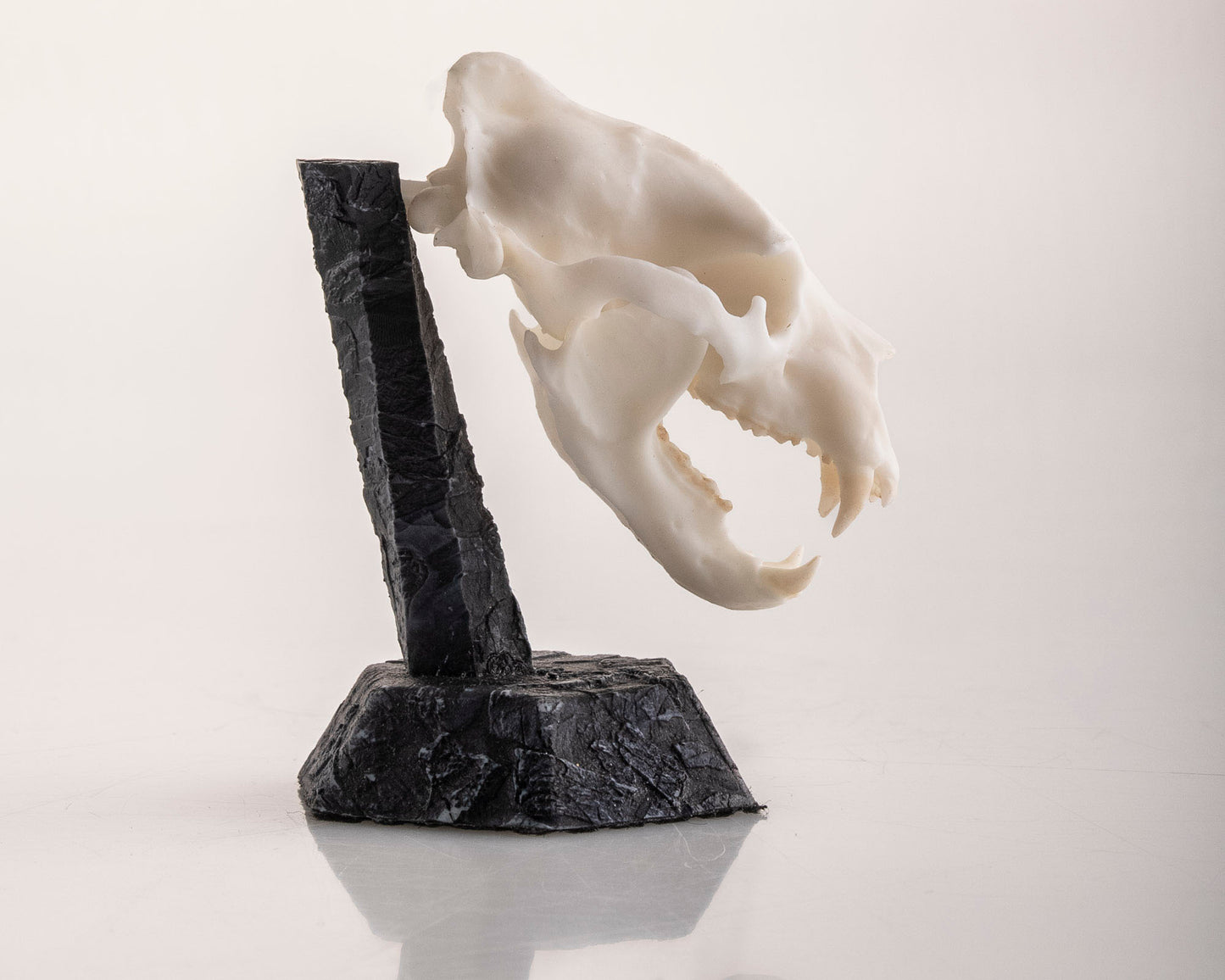 Skullies - Resin - Miniature Replica Lion Skull