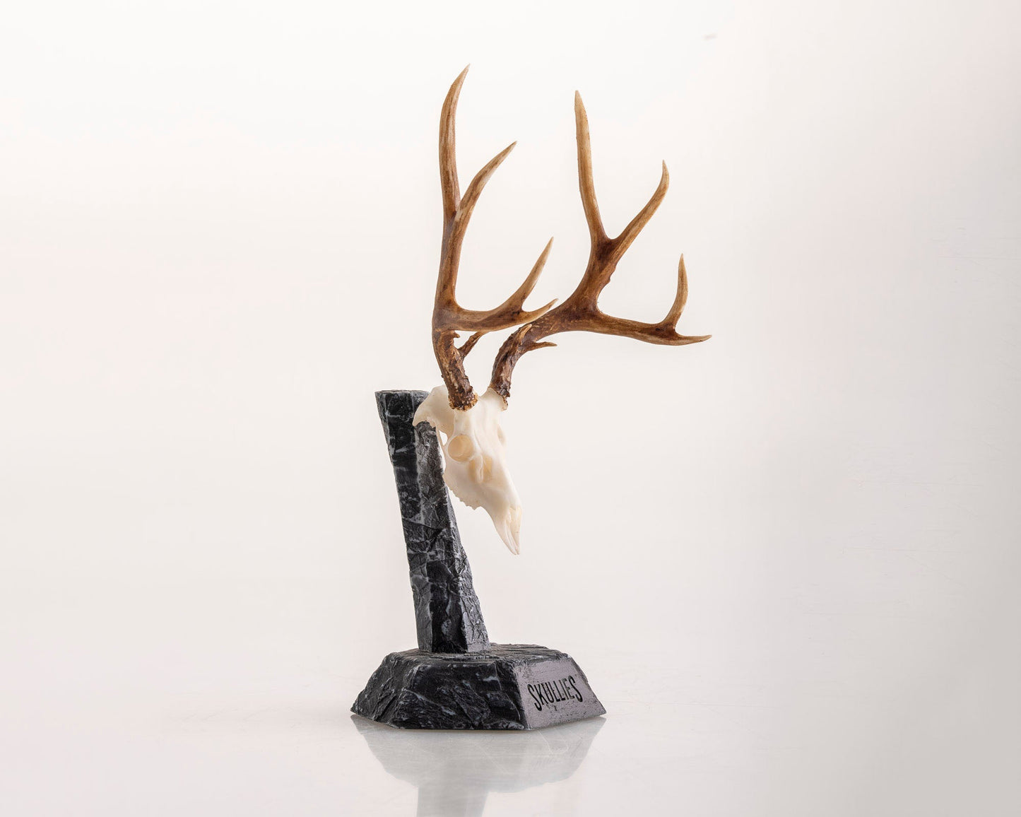 Resin Skullies - Miniature Replica Mule Deer Skull