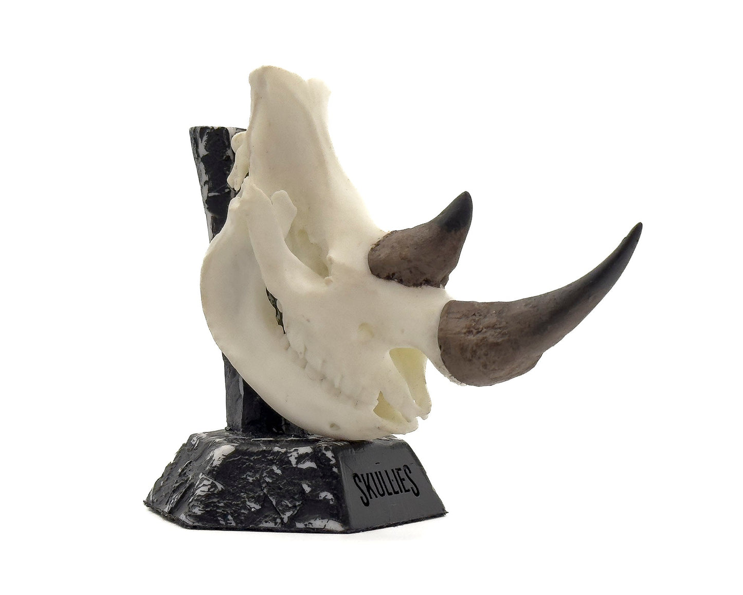 Resin Skullies - Miniature Replica Rhino Skull