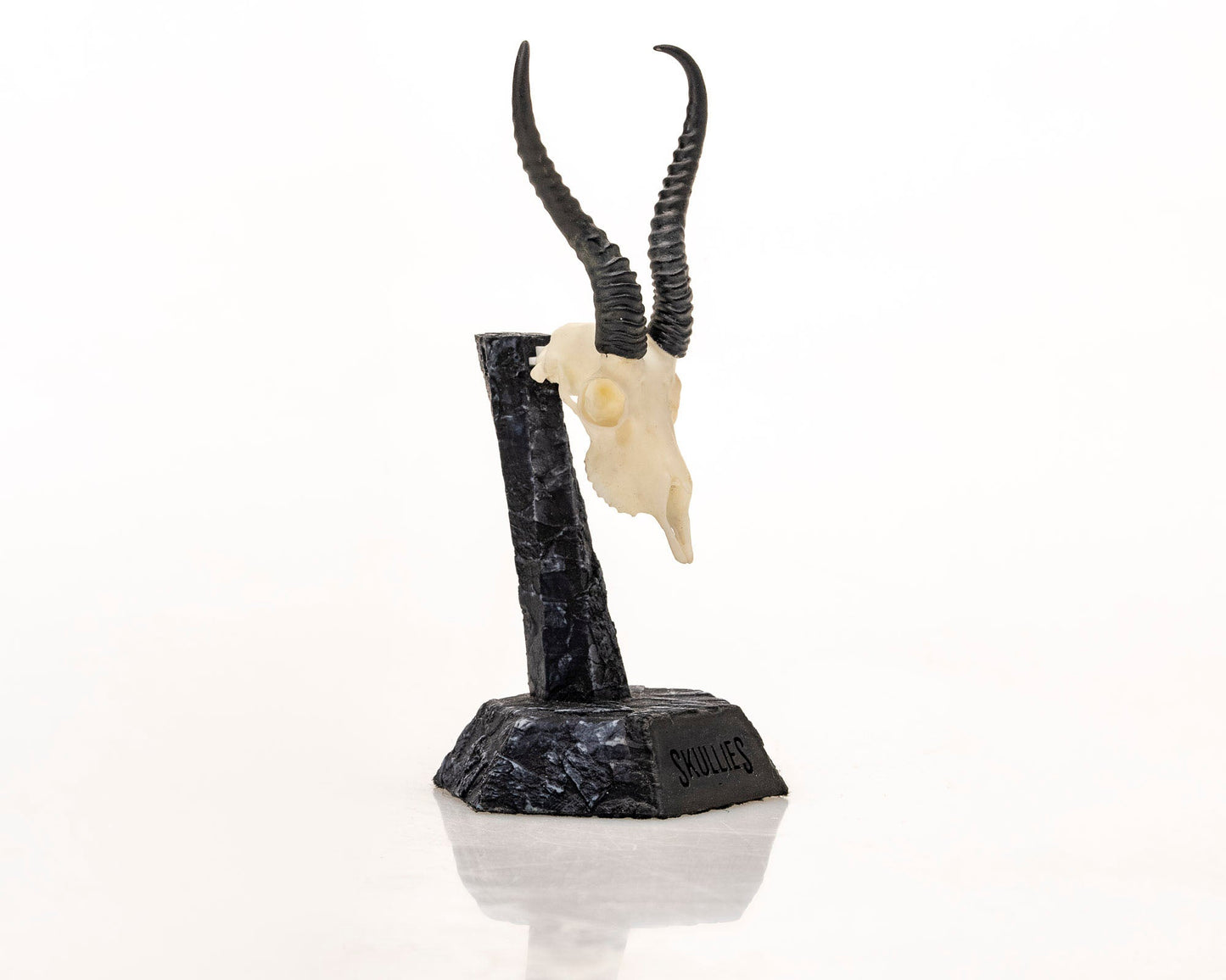 Resin Skullies - Miniature Replica Springbuck Skull