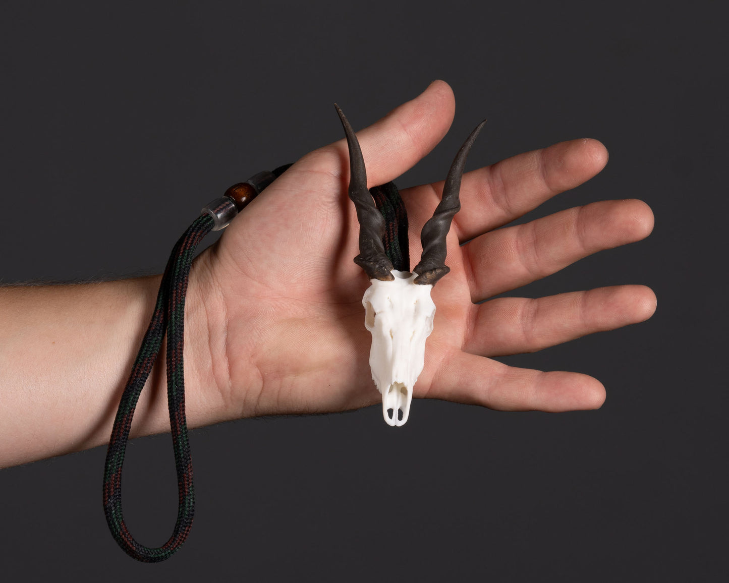 Skullies - Resin - Miniature Replica Eland Skull