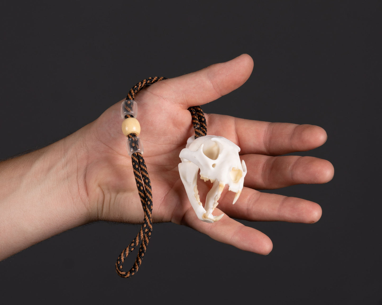 Skullies - Resin - Miniature Replica Leopard Skull