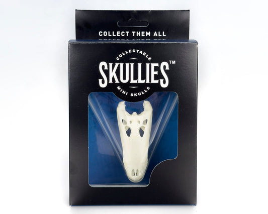 Resin Skullies - Miniature Replica Alligator Skull