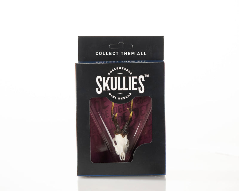 Load image into Gallery viewer, Resin Skullies - Miniature Replica Roe Deer Skull
