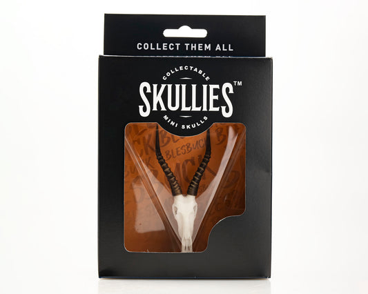 Skullies - Resin - Miniature Replica Blesbuck Skull