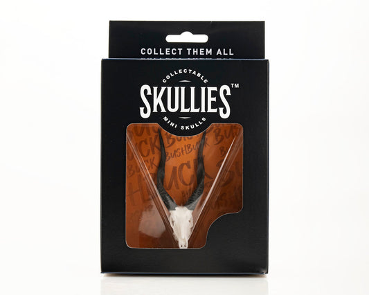 Resin Skullies - Miniature Replica Bushbuck Skull